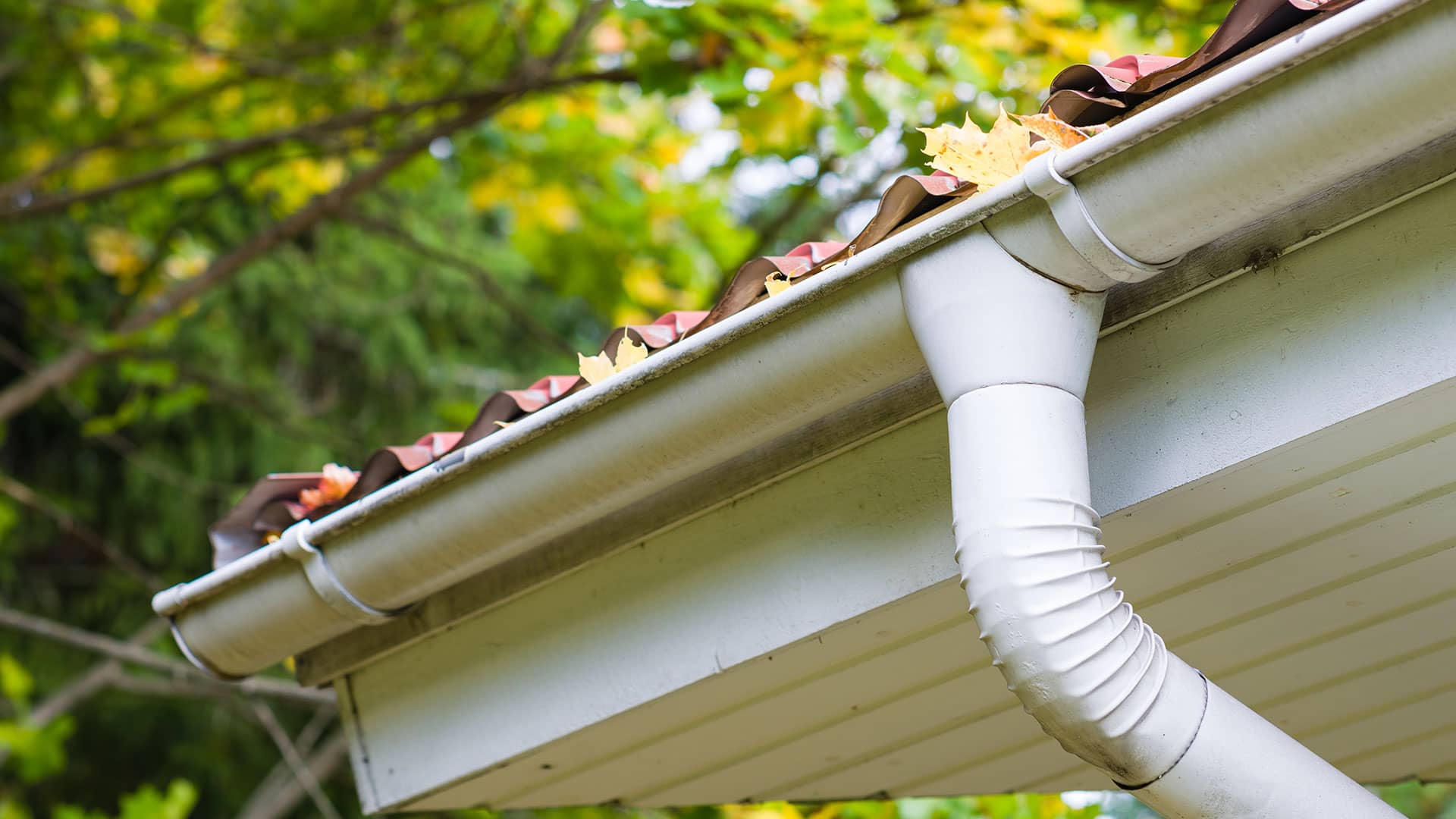bg-gutter-cleaning-pressure-washing-virginia-beach